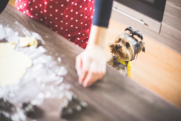 包含什么产品适合参加亚马逊秒杀活动（亚马逊的秒杀活动是否值得参加）的词条